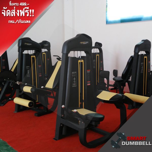 LAT PULL DOWN LOW ROW MACHINE เครื่องสร้างกล้ามเนื้อขาครบวงจร