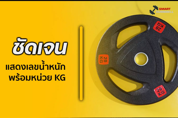 RUBBER WEIGHT PLATE แผ่นน้ำหนักชนิดยางสำหรับแกน