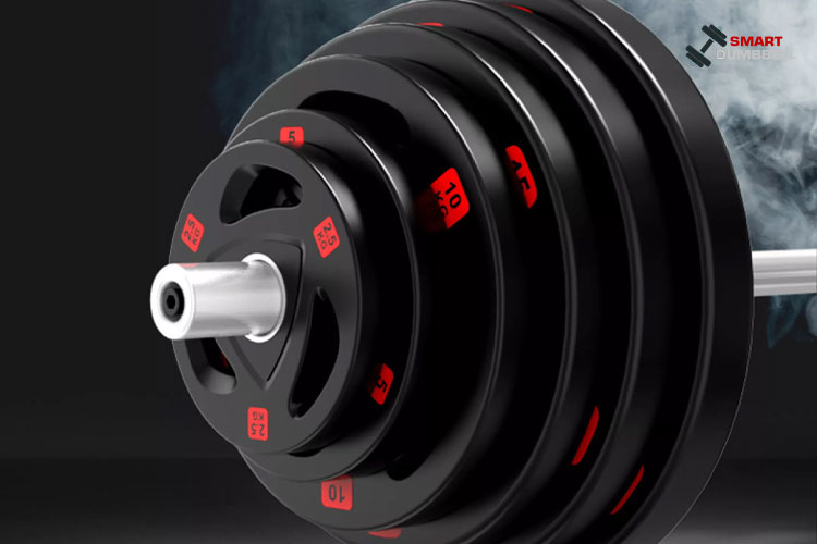 RUBBER WEIGHT PLATE แผ่นน้ำหนักชนิดยางสำหรับแกน