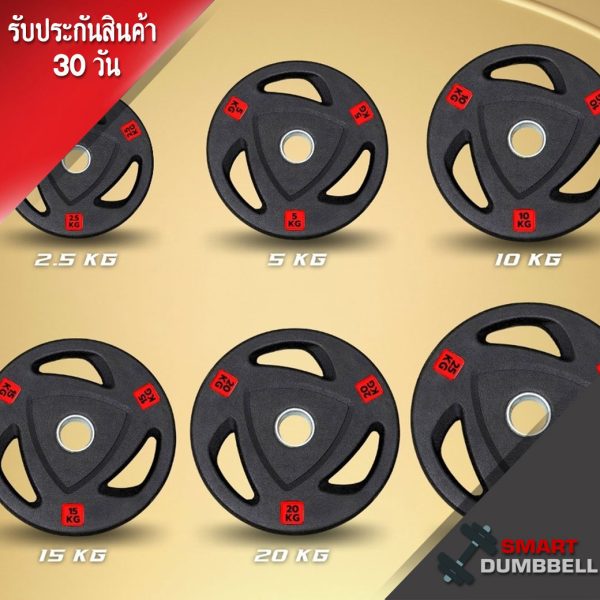 RUBBER WEIGHT PLATE แผ่นน้ำหนักชนิดยางสำหรับแกน 2 นิ้ว 25 Kg.