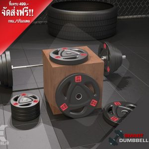 RUBBER WEIGHT PLATE แผ่นน้ำหนักชนิดยางสำหรับแกน