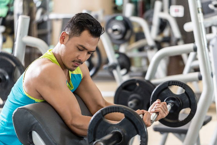 SEATED PREACHER CURL